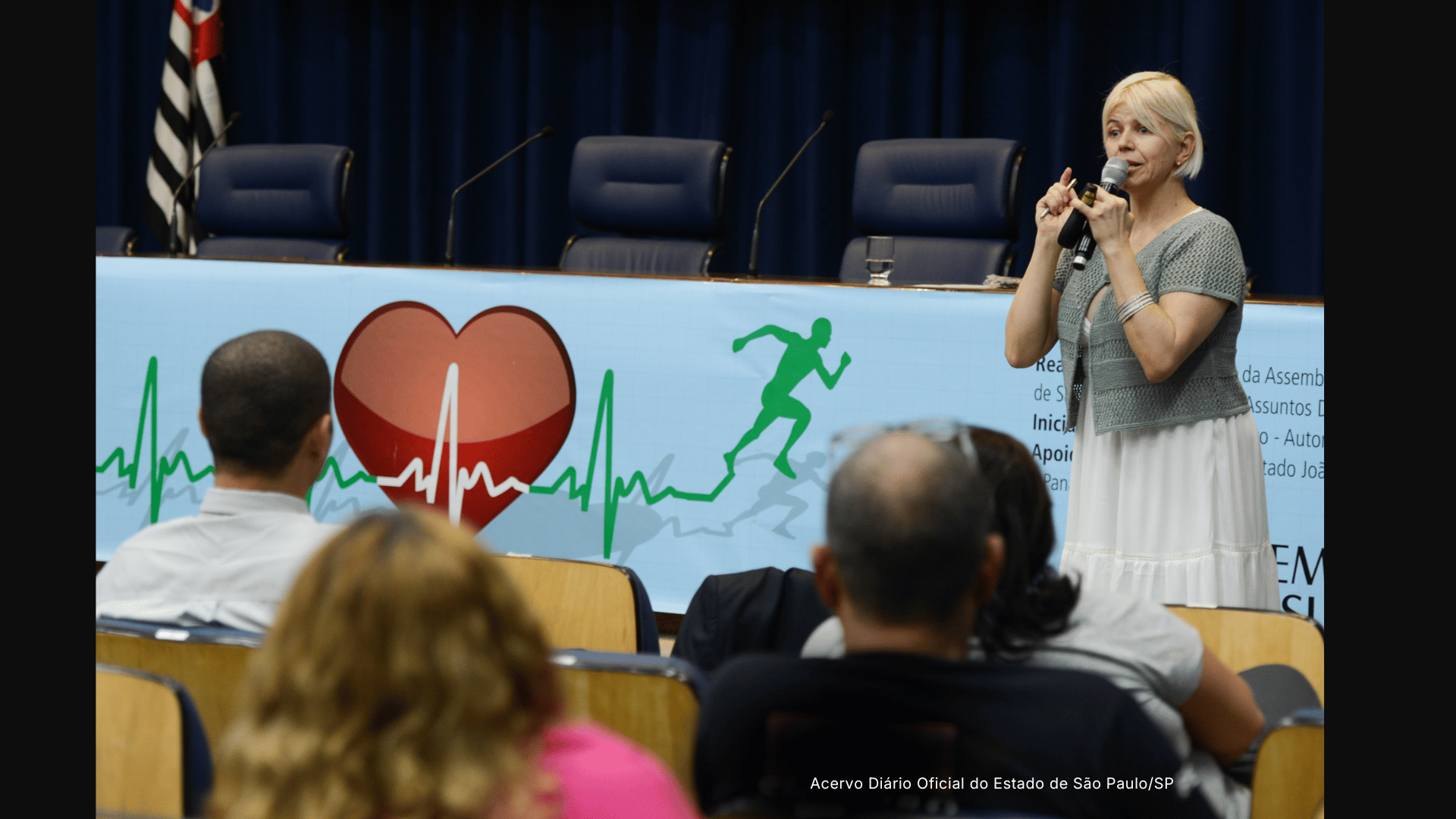 Palestra em Assembleia Legislativa sobre cuidado em obesidade